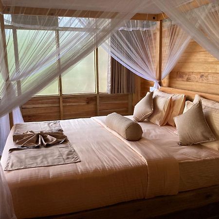 Ella Treehouse Hotell Eksteriør bilde
