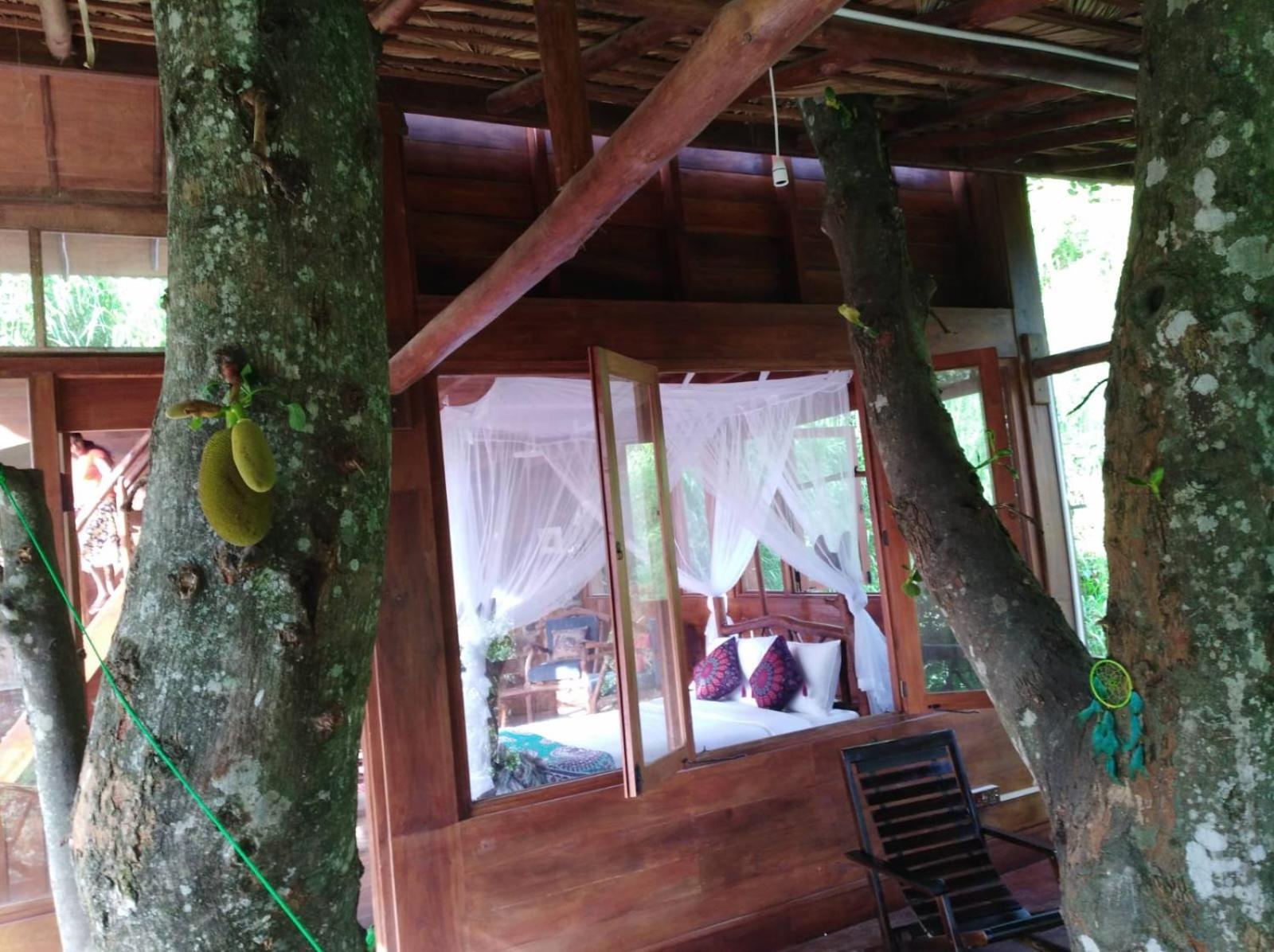 Ella Treehouse Hotell Eksteriør bilde
