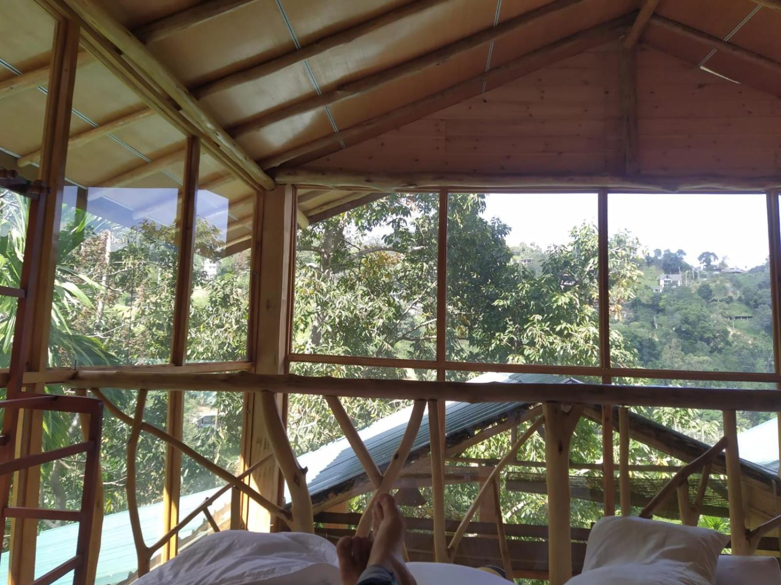 Ella Treehouse Hotell Eksteriør bilde