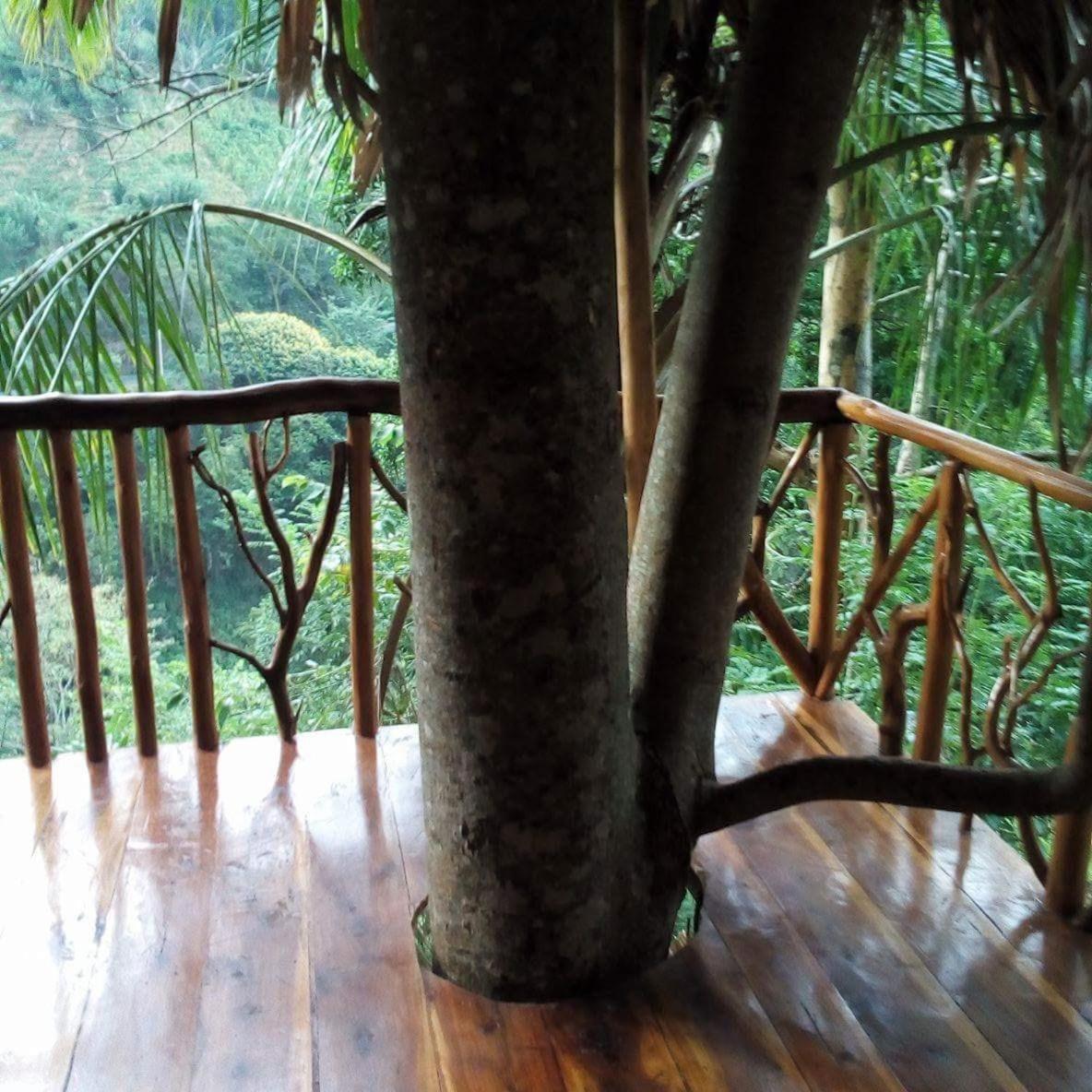 Ella Treehouse Hotell Eksteriør bilde
