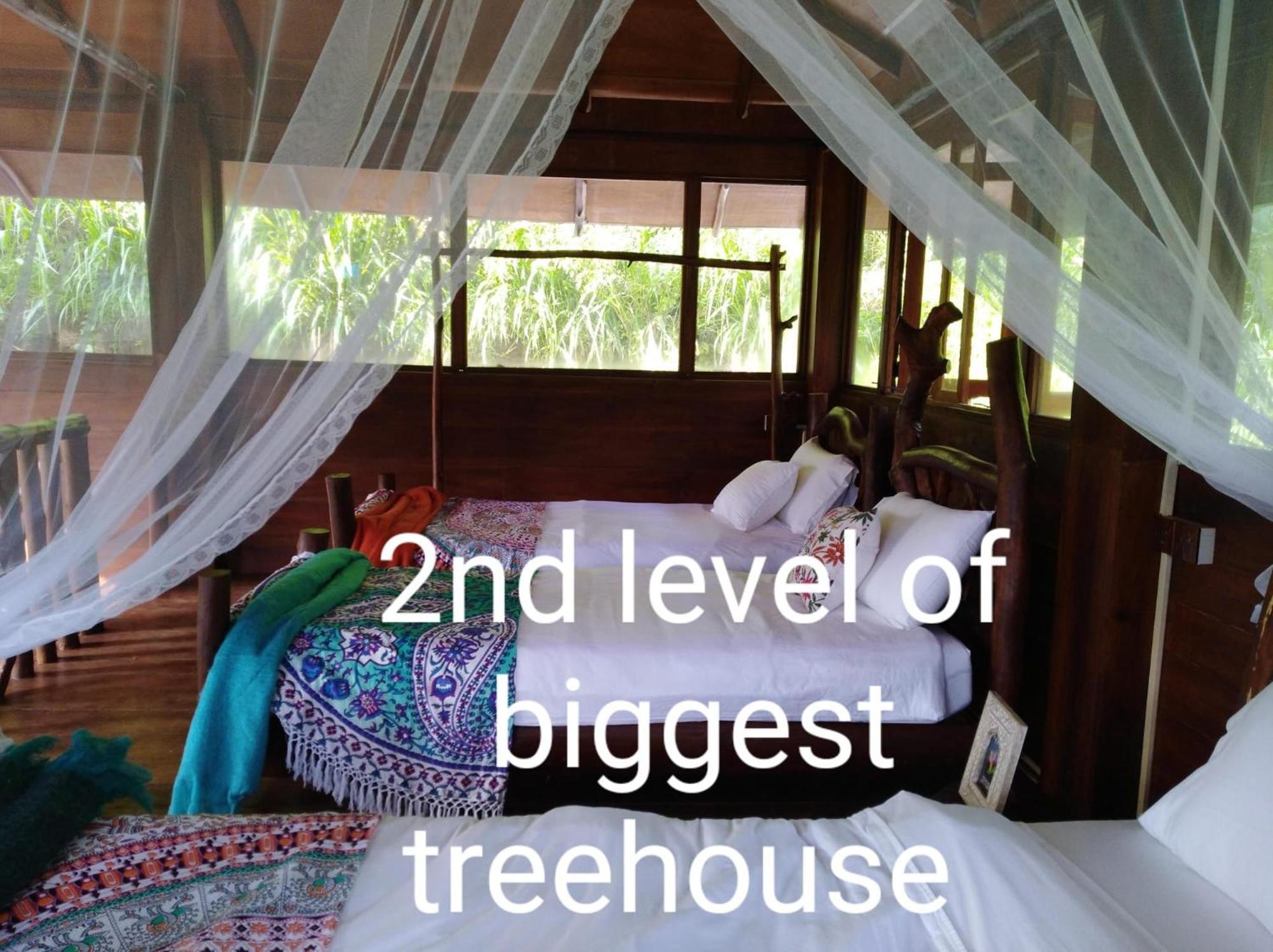 Ella Treehouse Hotell Eksteriør bilde