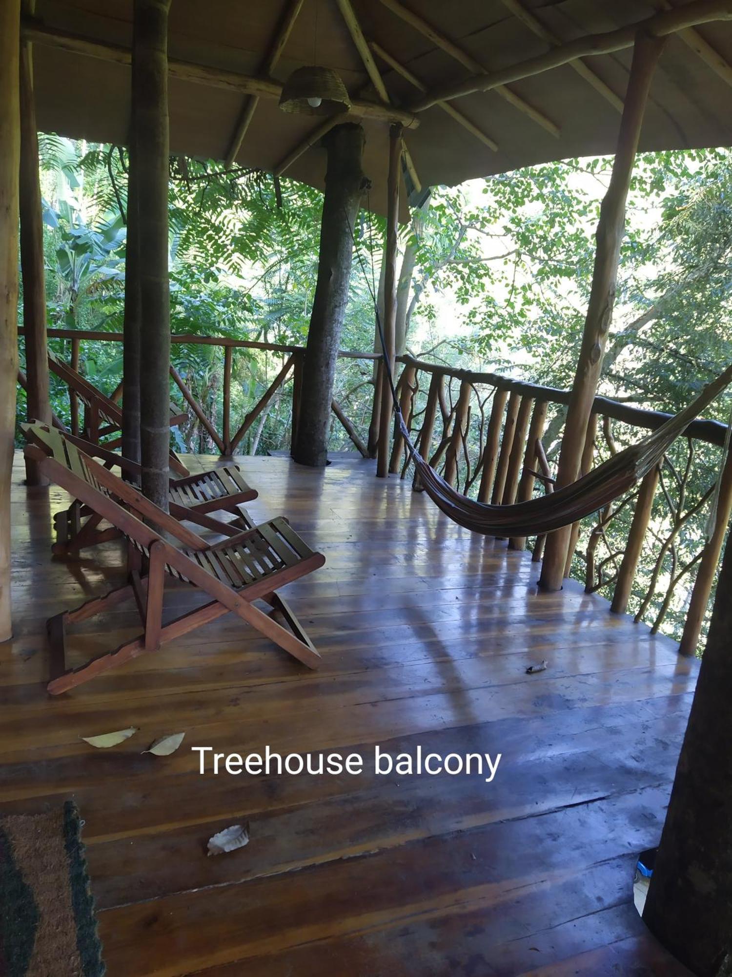 Ella Treehouse Hotell Eksteriør bilde