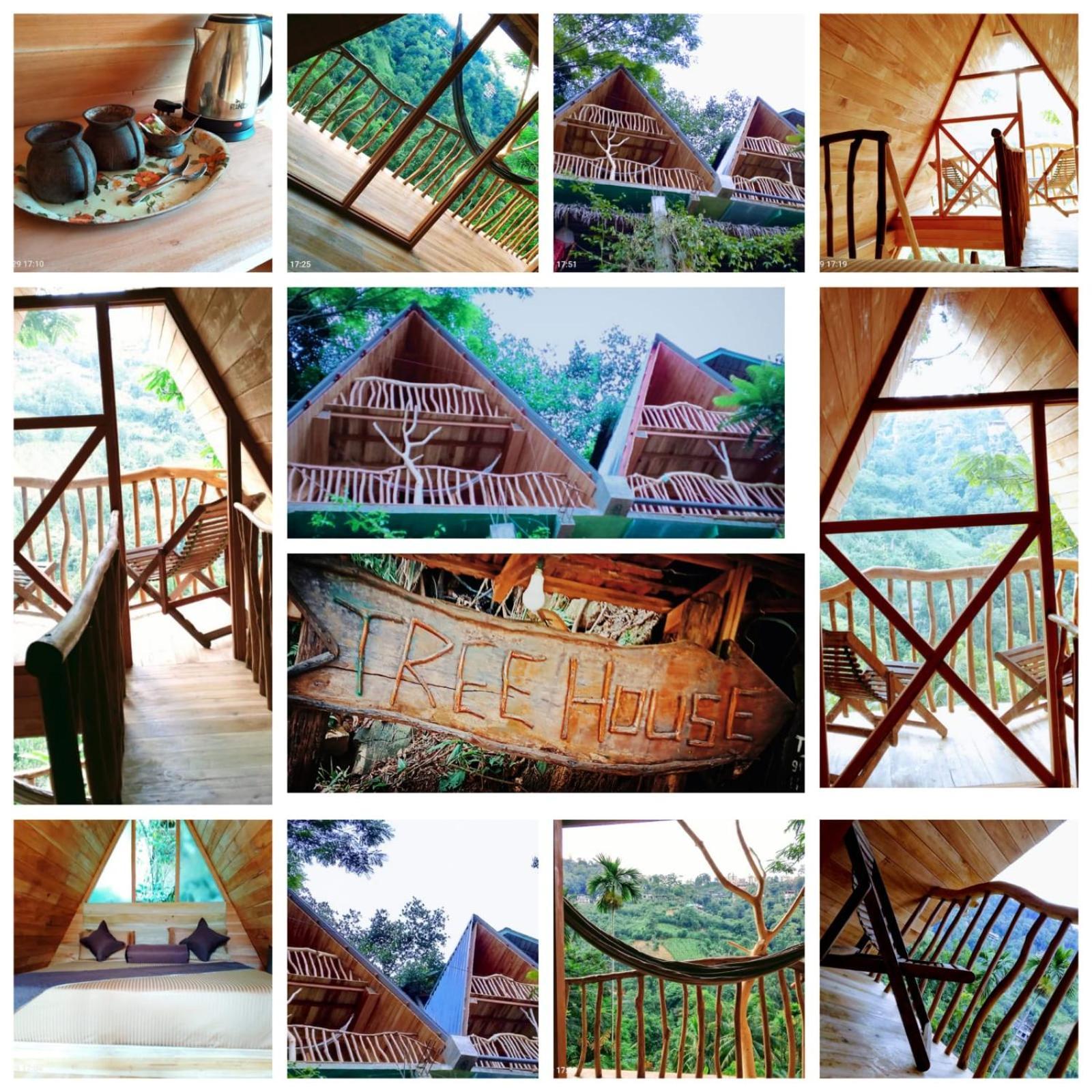 Ella Treehouse Hotell Eksteriør bilde